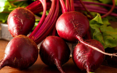 Beterraba: saiba para que serve a raiz