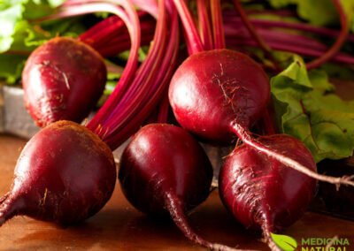 Beterraba - Beta vulgaris