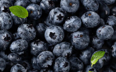 Blueberry (mirtilo): saiba para que serve