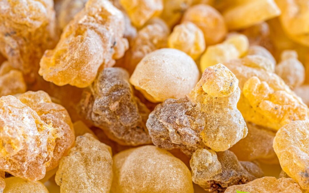 Olíbano (Boswellia): saiba para que serve