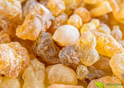 Olíbano - Boswellia carterii