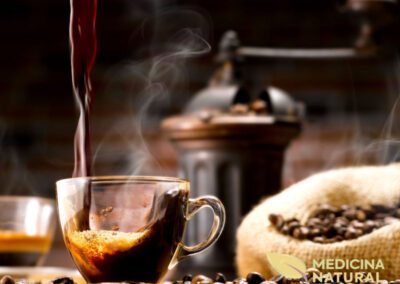 Café - Coffea arabica