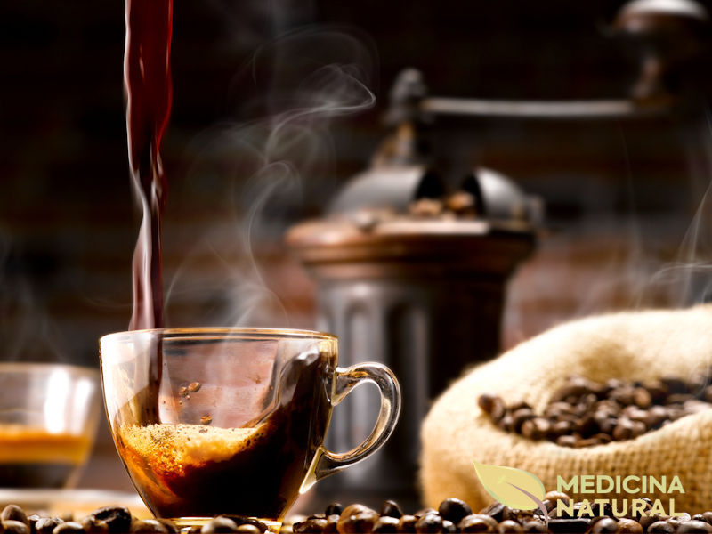 Café - Coffea arabica