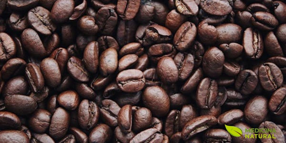 Os grãos de café torrados são a base da bebida mais consumida no mundo. O processo de torra desenvolve os compostos aromáticos e o sabor característico do café, mas também reduz alguns antioxidantes como o ácido clorogênico. A qualidade dos grãos e o método de preparo determinam o teor final de cafeína e os benefícios para a saúde.