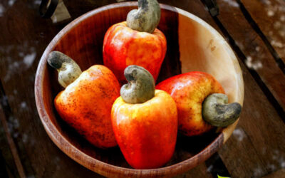 Benefícios da castanha de caju