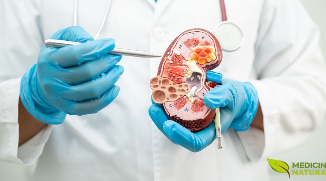 Os 10 Melhores Chás Para Dissolver Pedras nos Rins