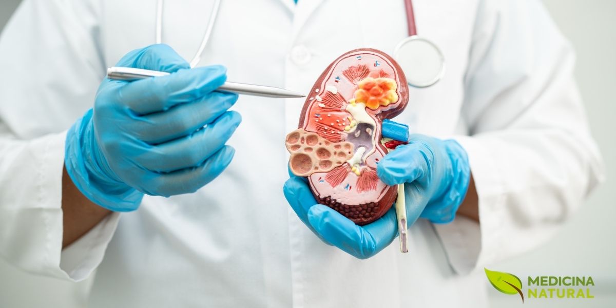 Os rins trabalham 24 horas filtrando o sangue e equilibrando líquidos e sais. Contudo, pouca hidratação, excesso de sal e rotina desregrada podem aumentar o risco de “pedras”. Água ao longo do dia, alimentação mais natural e atenção aos sinais do corpo ajudam a cuidar desse sistema silencioso e essencial. Em caso de dor forte, ardência ou sangue na urina, procure avaliação médica.