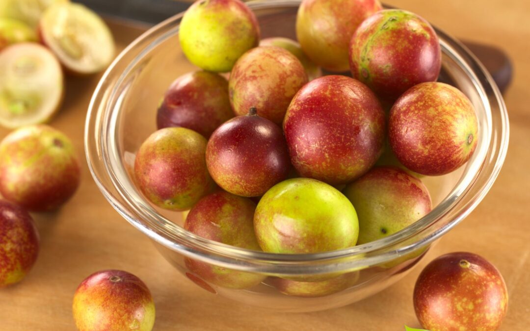 Camu-Camu: saiba para que serve a fruta