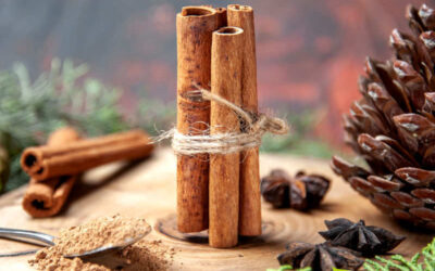Canela: saiba os benefícios da especiaria
