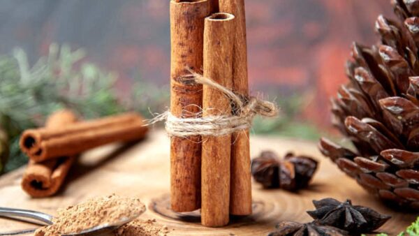 Canela - Cinnamomum zeylanicum