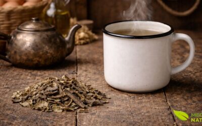 Chá de Canela-de-Velho: Alívio Natural Para Dores Crônicas