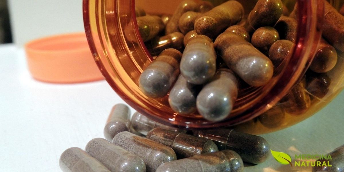 As cápsulas fitoterápicas representam uma forma moderna e conveniente de consumir ervas medicinais, permitindo dosagens precisas e facilitando a administração de plantas com sabor desagradável. Este método consiste em encapsular pós de ervas secas e moídas em invólucros de gelatina ou celulose vegetal, preservando os princípios ativos e garantindo maior estabilidade do produto. As cápsulas são ideais para tratamentos prolongados e oferecem praticidade no dia a dia, podendo ser armazenadas por longos períodos sem perda significativa de propriedades.