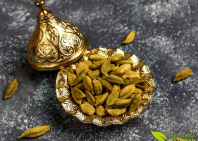 Cardamomo - Elettaria cardamomum