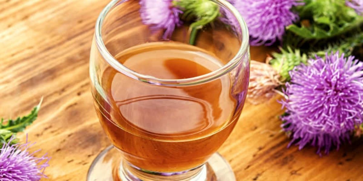O chá de cardo-mariano é uma das formas mais tradicionais e acessíveis de aproveitar os benefícios desta planta medicinal extraordinária. Utilizado há mais de dois mil anos na medicina popular europeia, este chá ganhou reconhecimento científico por sua capacidade de proteger, desintoxicar e regenerar o fígado. O segredo está na silimarina, um complexo de flavolignanas concentrado nas sementes, que age como um poderoso antioxidante e estabilizador das membranas celulares hepáticas.