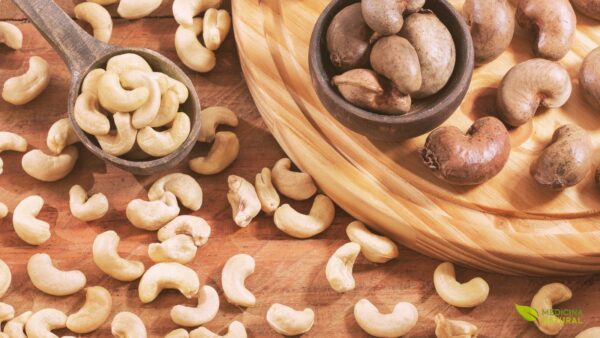 Castanha-de-Caju - Anacardium occidentale