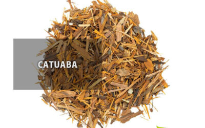 Catuaba: saiba para que serve a erva