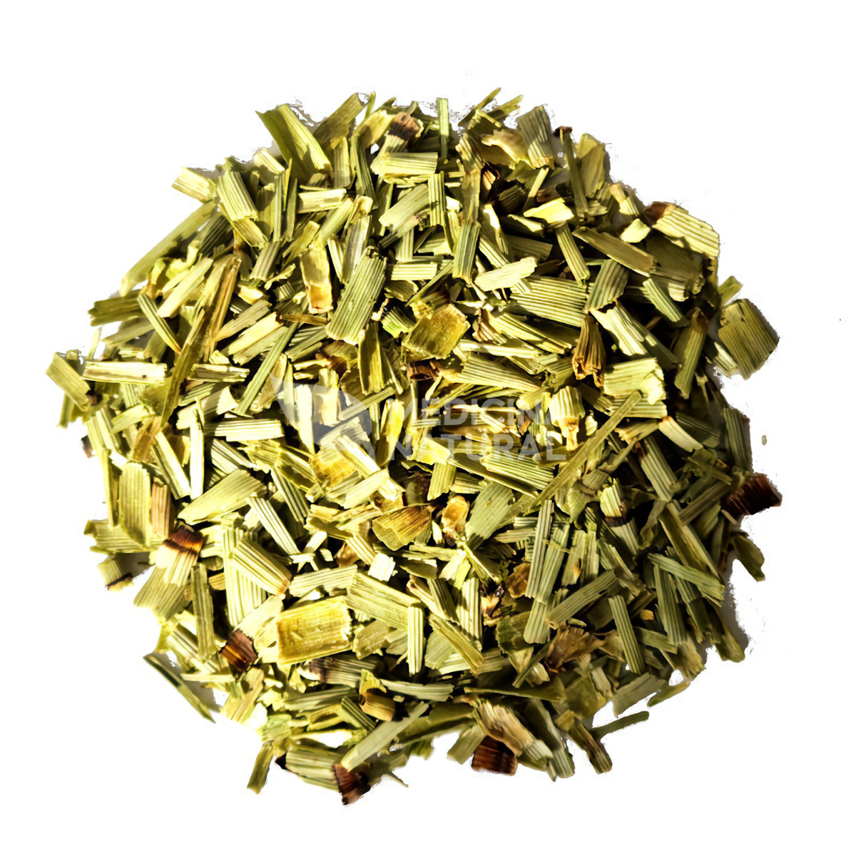 Chá de Cavalinha - Equisetum arvense