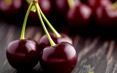 Cereja-negra: saiba para que serve o chá