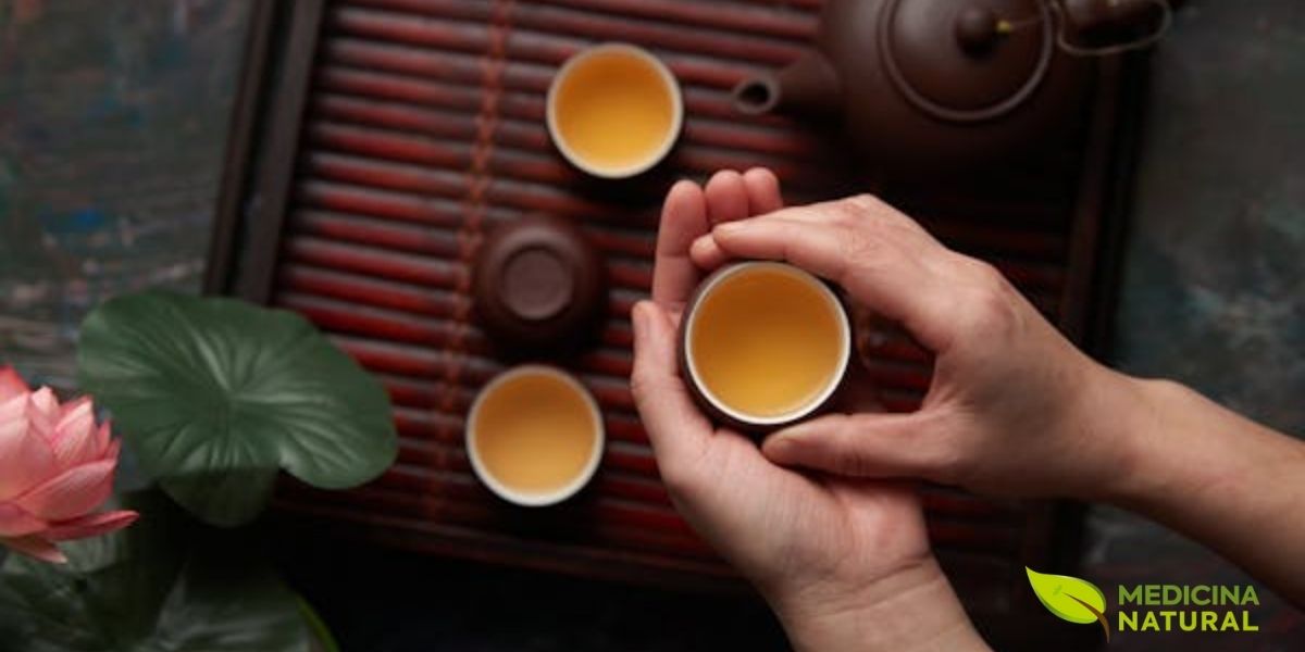 A cerimônia do chá Sencha, conhecida como Senchado, é uma tradição japonesa que celebra a simplicidade e a elegância. Nesta imagem, três xícaras de porcelana exibem a infusão dourada característica do Sencha de alta qualidade, preparado com água entre 70-80°C para preservar os compostos delicados como catequinas e L-teanina, responsáveis pelo sabor umami e pelos benefícios à saúde cardiovascular.