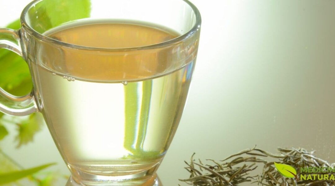 Chá Branco: Benefícios, Silver Needle e White Peony