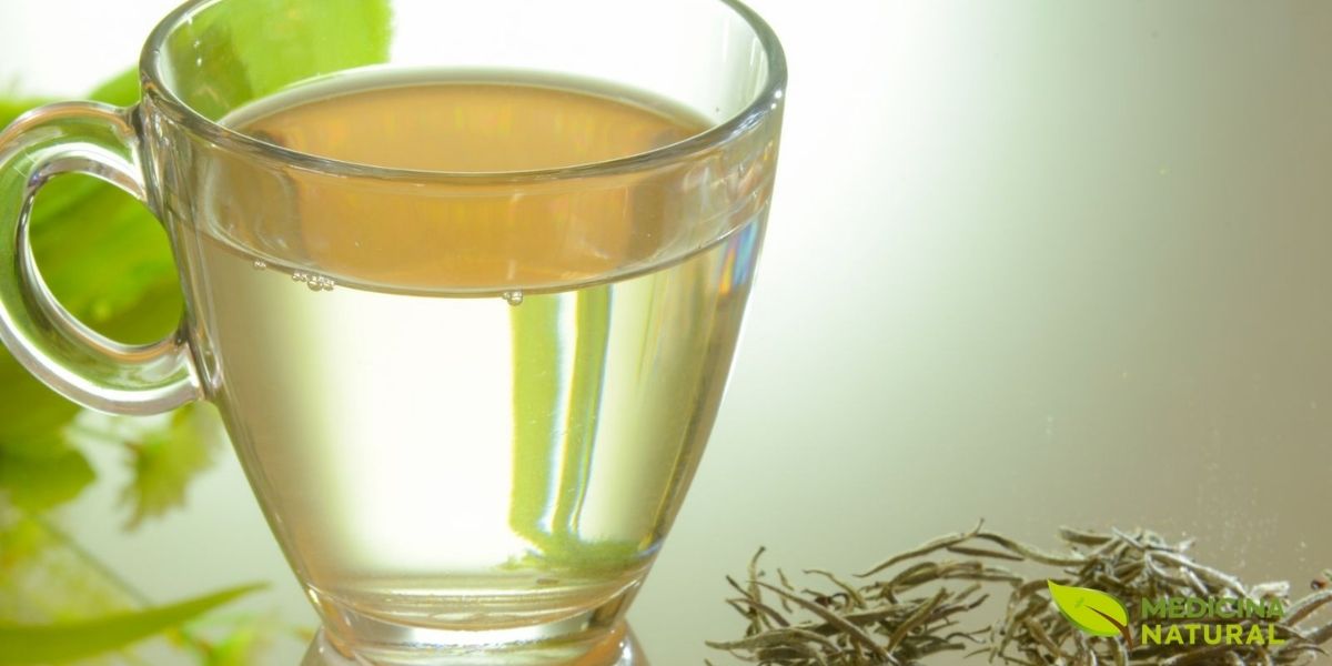 Preparação tradicional do chá branco com bule e xícara, demonstrando a técnica correta de infusão. Use água entre 75-85°C e infusão de 3-5 minutos para extrair sabor delicado sem amargor. O preparo adequado preserva os compostos bioativos e permite múltiplas infusões das mesmas folhas. Preparação tradicional do chá branco com bule e xícara, demonstrando a técnica correta de infusão. Use água entre 75-85°C e infusão de 3-5 minutos para extrair sabor delicado sem amargor. O preparo adequado preserva os compostos bioativos e permite múltiplas infusões das mesmas folhas.