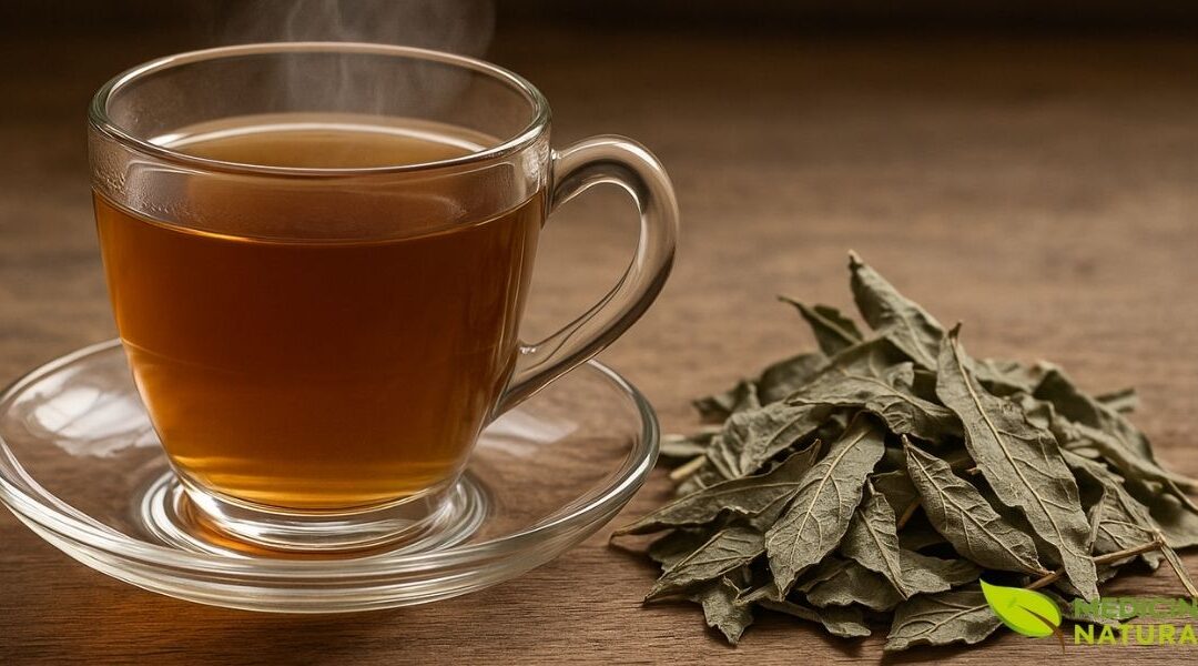 Chá de Chapéu-de-Couro: Guia Completo de Preparo e Uso