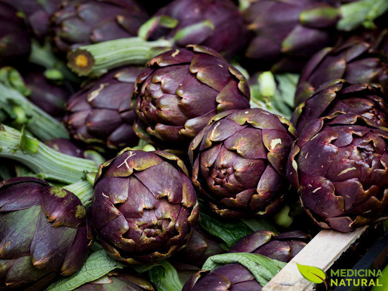 Chá de Alcachofra - Cynara scolymus - Medicina Natural