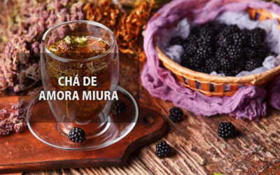 Chá de amora miura: saiba para que serve