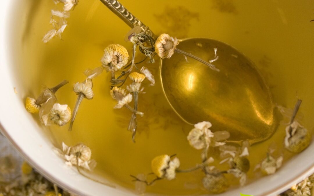 Chá de Camomila: Benefícios Reais Para Ansiedade e Sono