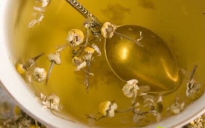 Chá de Camomila: Benefícios Reais Para Ansiedade e Sono