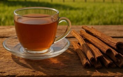 Canela-Sassafrás: História e Benefícios do Chá da Casca Milagrosa