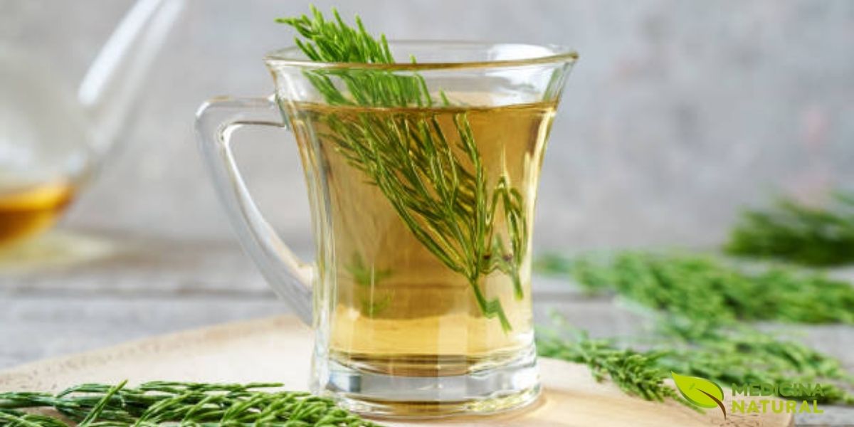 A preparação do chá de cavalinha envolve a infusão da erva seca em água quente, liberando suas propriedades benéficas. Este chá é conhecido por seu potencial diurético e remineralizante, sendo uma opção natural para cuidar da saúde.