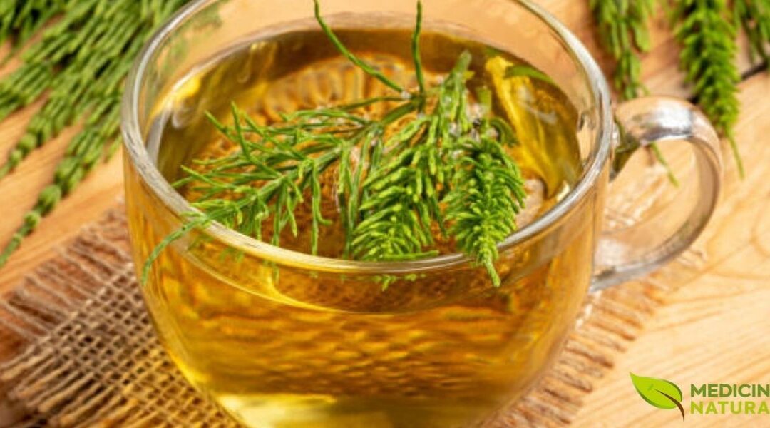 Chá de Cavalinha: O Segredo para Ossos e Cabelos Fortes