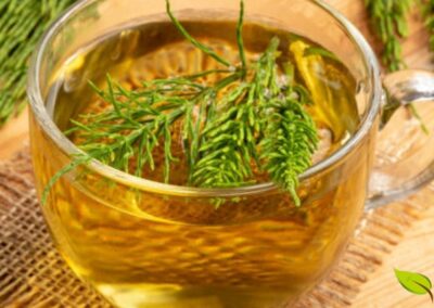 Uma xícara de chá de cavalinha fresco pode ser um momento de autocuidado e bem-estar. Seu sabor suave e herbal é apreciado por muitos, além de suas propriedades terapêuticas. Os benefícios do chá de cavalinha para a saúde são vastos, incluindo o fortalecimento das unhas e cabelos, a melhoria da saúde da pele e o auxílio na eliminação de toxinas do corpo.