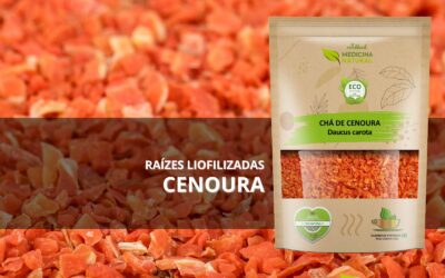 Chá de Cenoura – Daucus carota