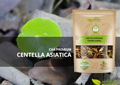 Centelha - Centella asiatica - Medicina Natural