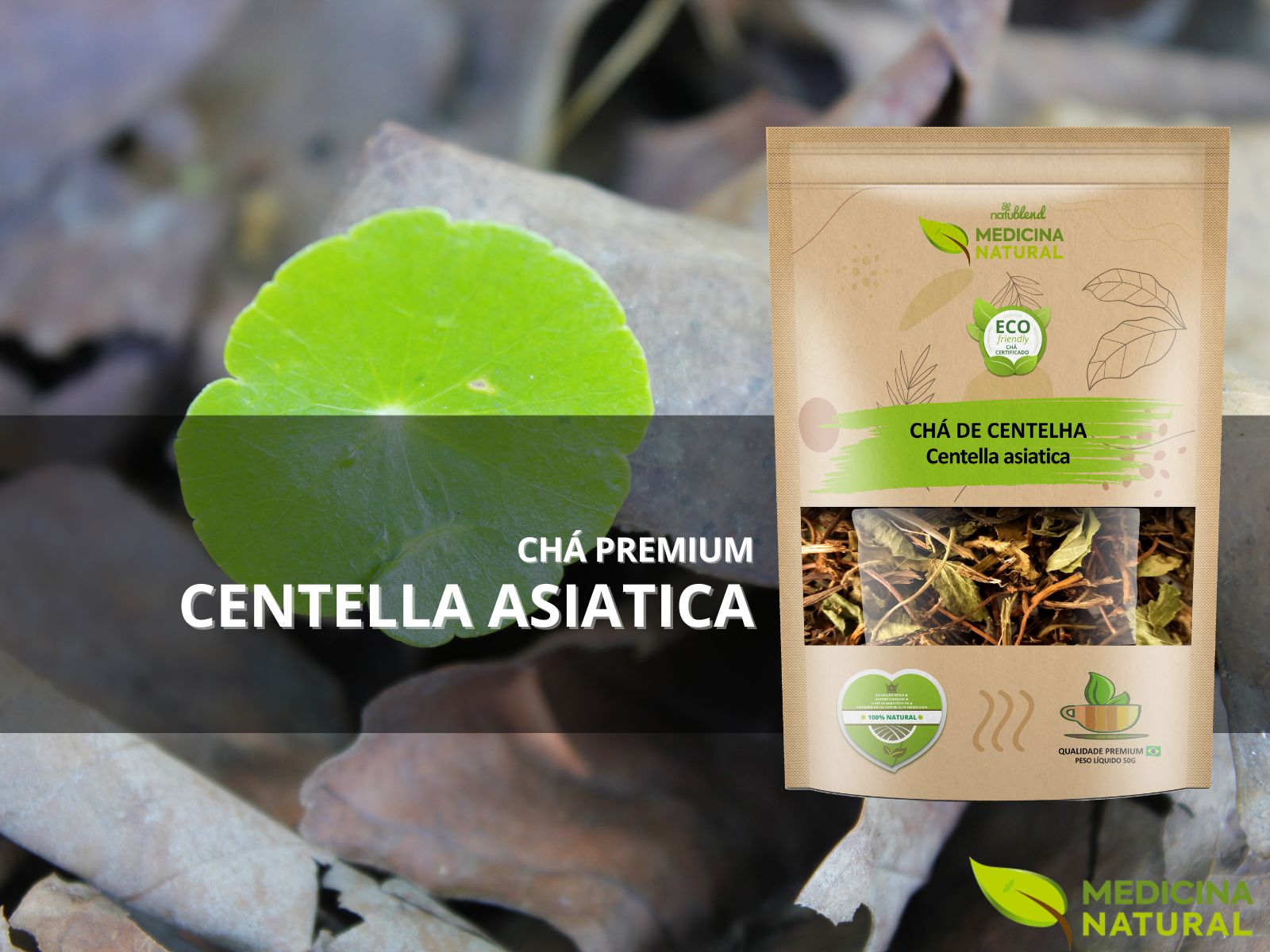 Centelha - Centella asiatica - Medicina Natural
