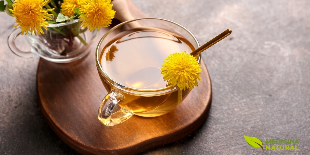 Uma xícara de vidro transparente com chá de dente de leão, revelando sua cor dourada e vibrante. Ao lado, flores amarelas e sementes brancas da planta, compondo um cenário natural e convidativo que remete à origem e frescor da bebida.