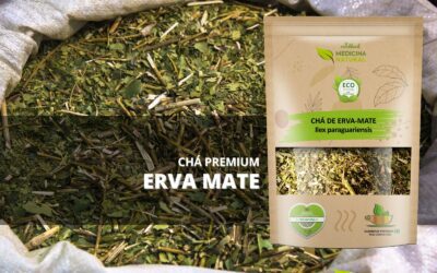 Chá de Erva Mate – Ilex paraguariensis
