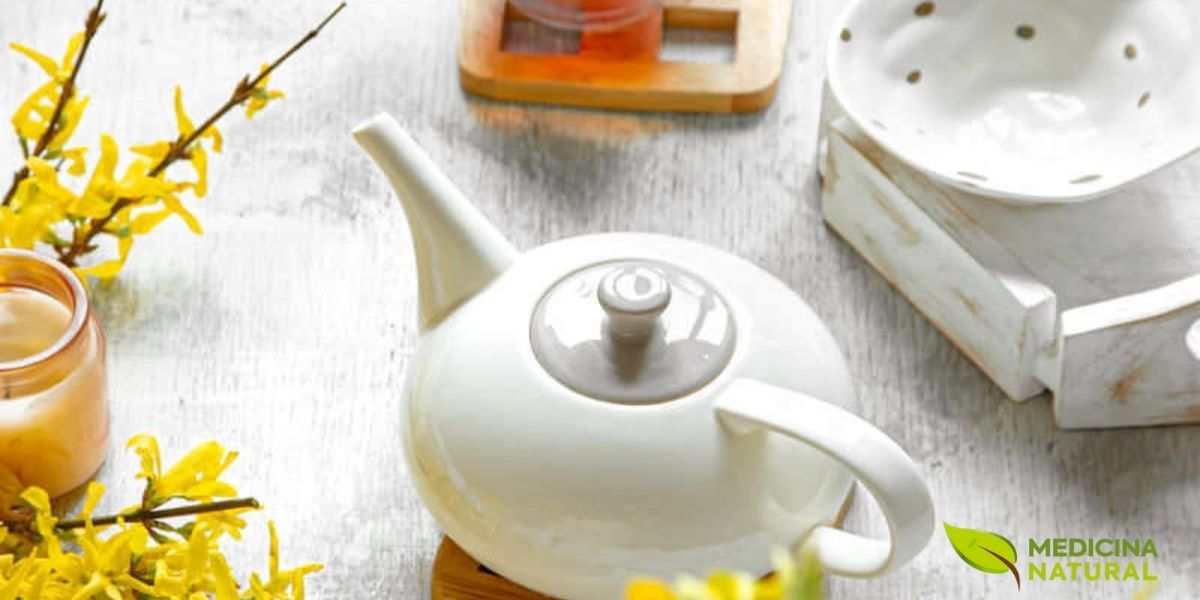  Além das flores amarelas características, a Hamamelis virginiana (hamamélis) produz frutos capsulares que contêm sementes brancas comestíveis. A floração peculiar no inverno e a produção de frutos fazem desta planta uma espécie única na flora norte-americana, e suas partes são colhidas tradicionalmente no verão para a produção de chás e extratos medicinais.