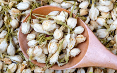 Chá de Jasmim: Guia Completo Sobre a Bebida Relaxante