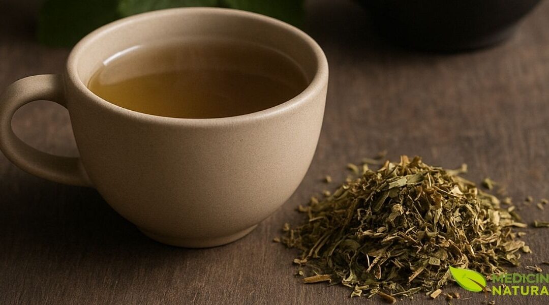 Chá de Mentrasto: Benefícios, Como Fazer e Onde Comprar