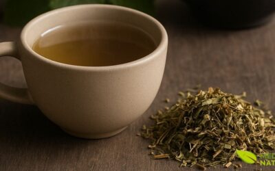 Chá de Mentrasto: Benefícios, Como Fazer e Onde Comprar