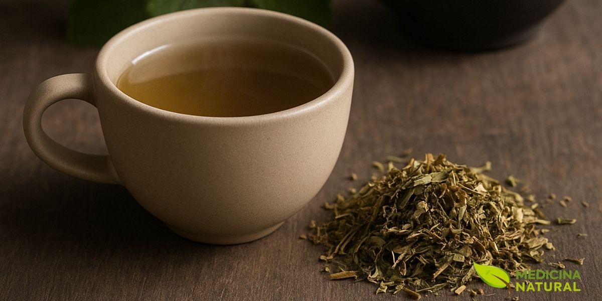 Uma xícara de chá de mentrasto, ao lado de folhas secas da planta, representa o resultado final do processo de preparo. Esta imagem evoca uma sensação de conforto e cuidado, simbolizando o uso medicinal da planta para o alívio de dores e o bem-estar geral. É a tradição e a ciência se encontrando em uma bebida simples e poderosa. Uma xícara de chá de mentrasto, ao lado de folhas secas da planta, representa o resultado final do processo de preparo. Esta imagem evoca uma sensação de conforto e cuidado, simbolizando o uso medicinal da planta para o alívio de dores e o bem-estar geral. É a tradição e a ciência se encontrando em uma bebida simples e poderosa.