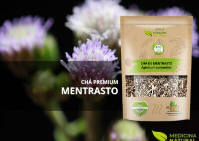 Chá de Mentrasto - Ageratum conyzoides - Medicina Natural