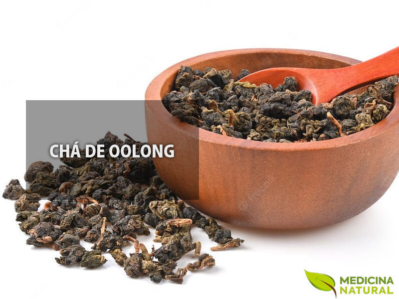 Chá de oolong - Camellia sinensis