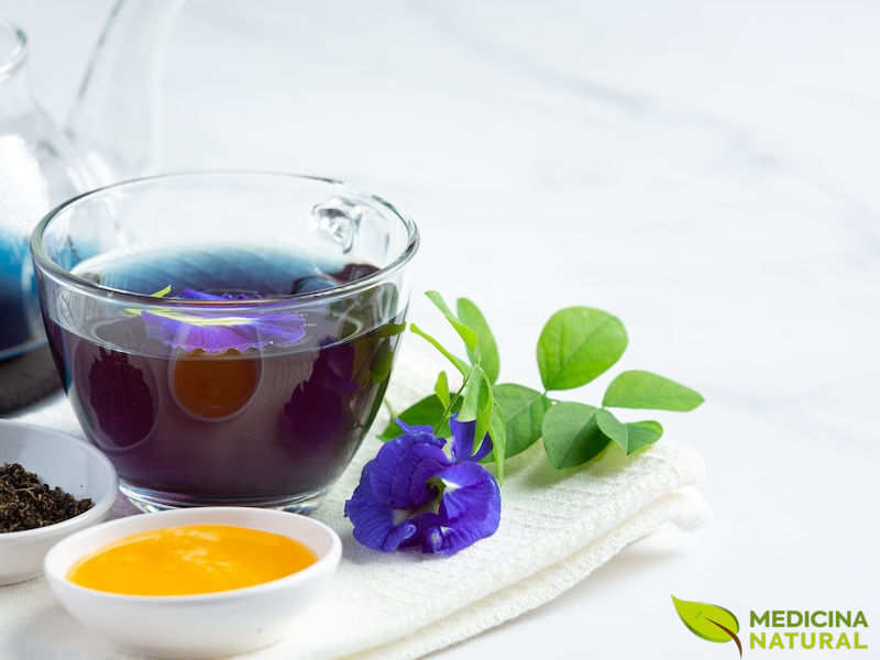 Chá de Prunella vulgaris