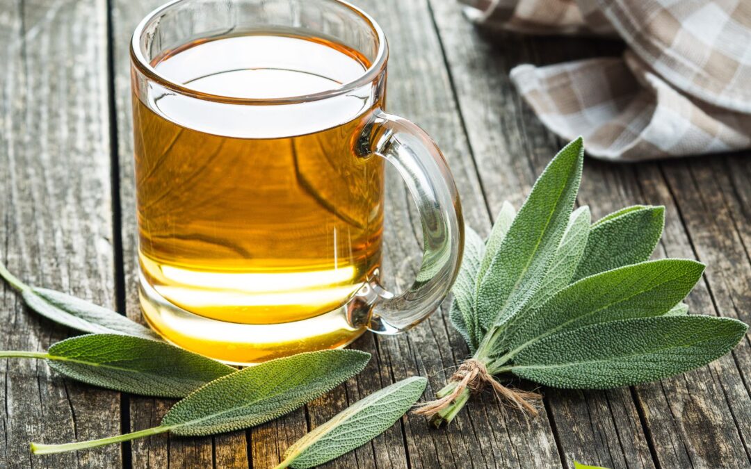 Chá de Sálvia: Benefícios, Usos e Como Preparar a Bebida