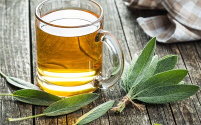 Chá de Sálvia: Benefícios, Usos e Como Preparar a Bebida