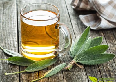 Chá de sálvia - Salvia officinalis